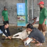 NIat Kurban Keluarga -BSI Maslahat