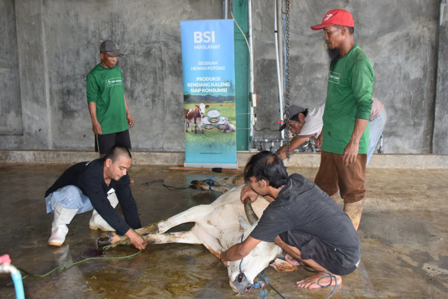 NIat Kurban Keluarga -BSI Maslahat
