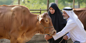 keutamaan berkurban-BSI Maslahat